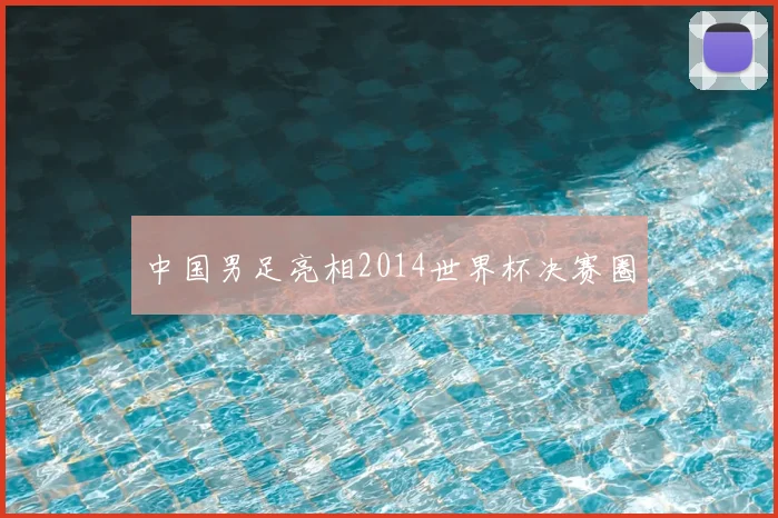 中国男足亮相2014世界杯决赛圈