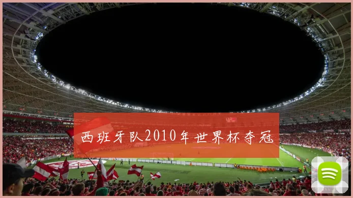 西班牙队2010年世界杯夺冠